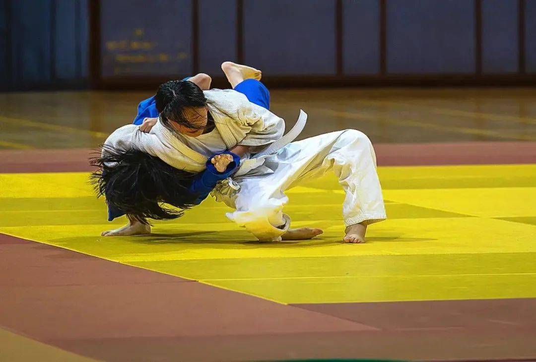 NG SPORTS-关于柔道小组赛，剑门海豚队与岭东铁骑队鏖战，VAR改判成焦点！韧性与执行并存的信息